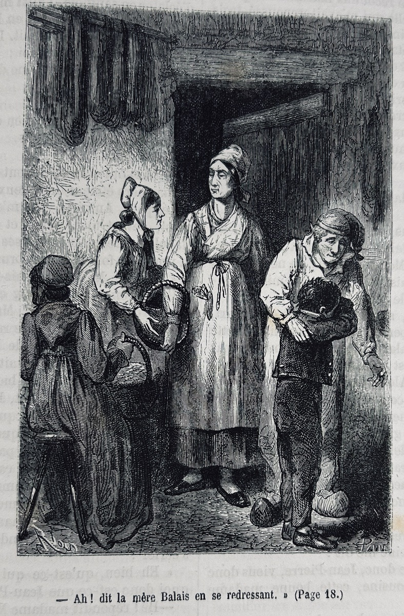 Erckmann-chatrian - National Novels. Hetzel & Cie, 1867. Illustrated By Riou, Fuchs And Schuler.-photo-8