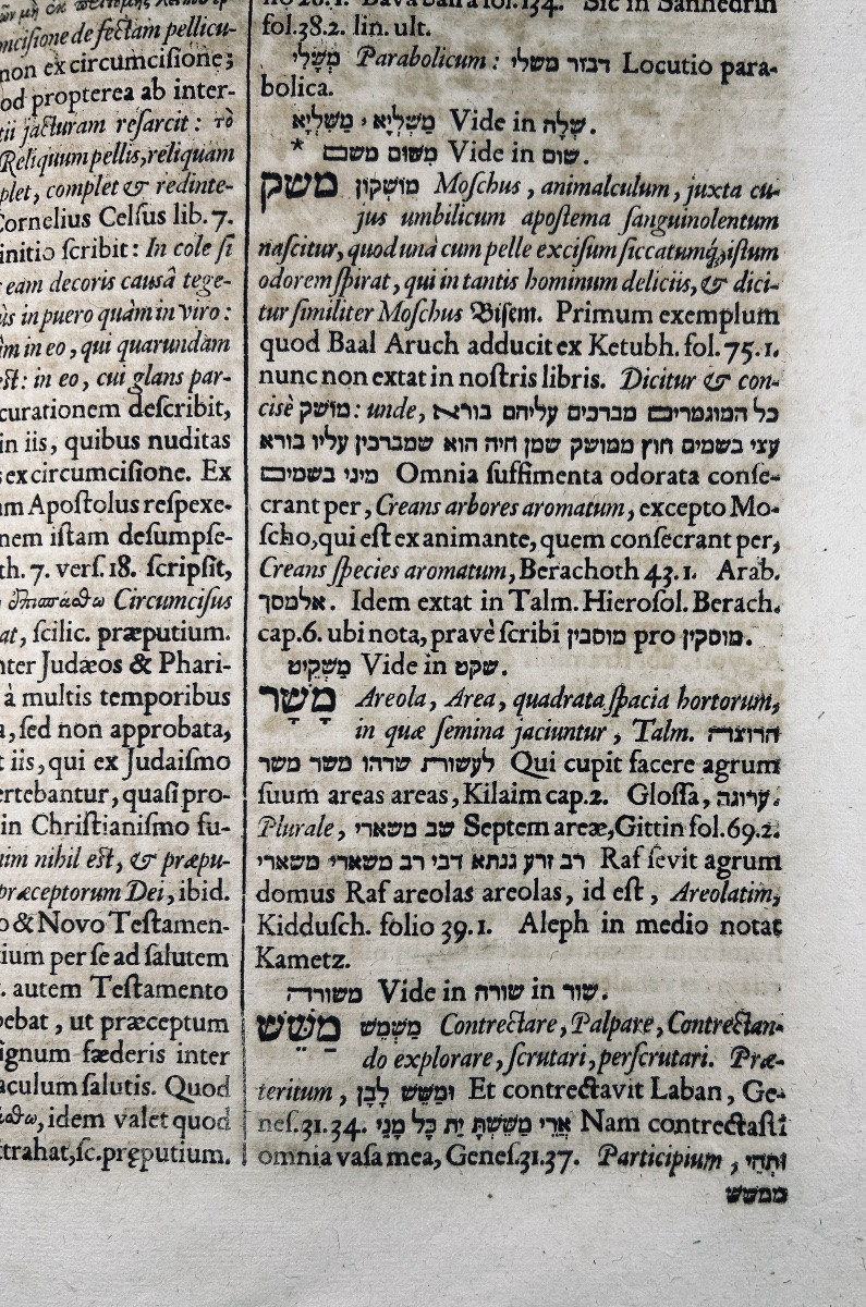Buxtorf - Lexicon Chaldaicum, Talmudicum And Rabbinicum. Basle, König, 1639, Vellum Binding.-photo-5