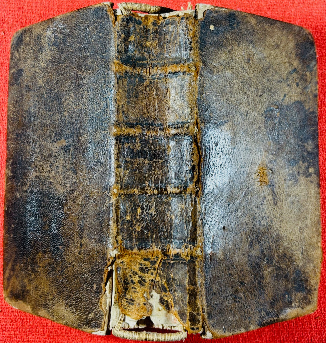 Fiorentino (remigio) - Epistole Et Evangeli Di Tutto l'Anno. 1591, In Old Binding.-photo-8