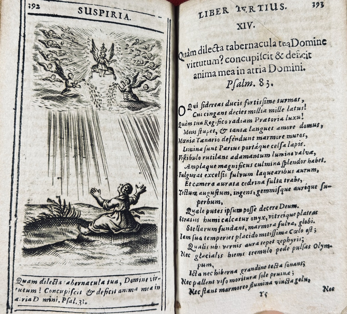 [hugo (hermannus)] - Pia Desideria Tribes Tomis Comprehensa. Cologne, Metternch, 1709, Bound.-photo-6