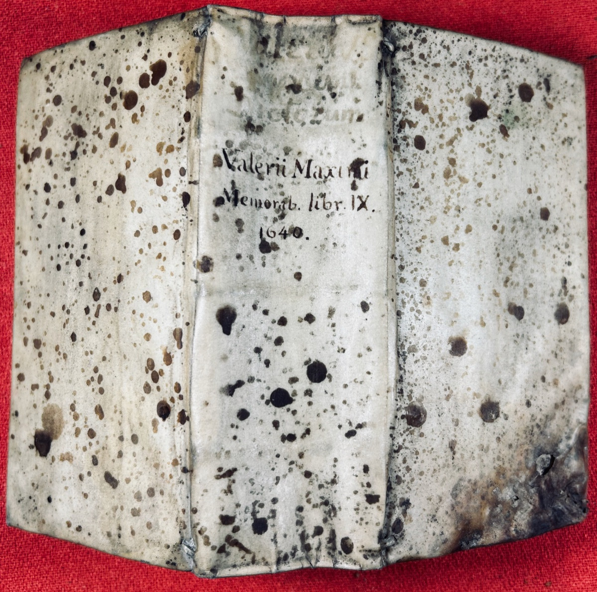 MAXIMI - Valerii Maximi Dictorum Factorumque Memorabilium. Heger, 1640, reliure vélin d'époque.-photo-7