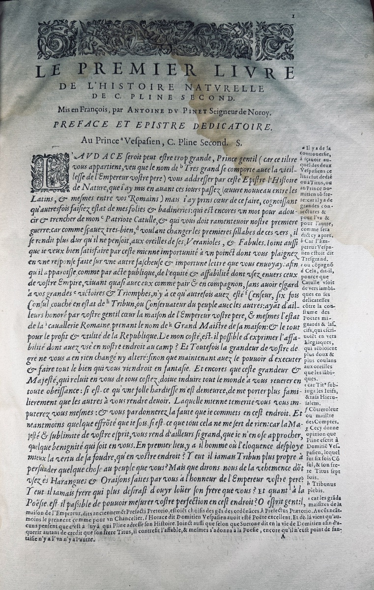 Pliny The Second (c.) - The History Of The World By C. Pliny The Second. 1622, Old Binding.-photo-1