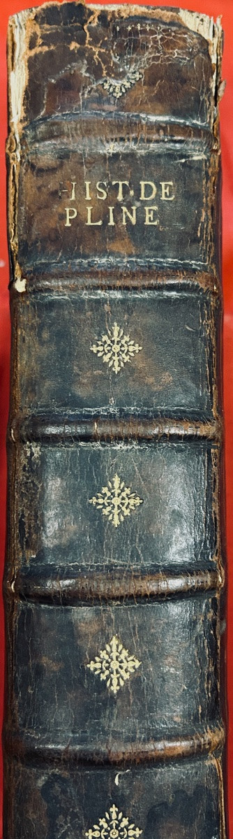 Pliny The Second (c.) - The History Of The World By C. Pliny The Second. 1622, Old Binding.-photo-8