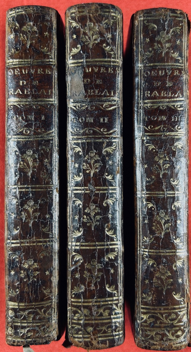 RABELAIS (François) - Oeuvres choisies de M. François Rabelais. Genève, Barillot & Fils, 1752.-photo-7