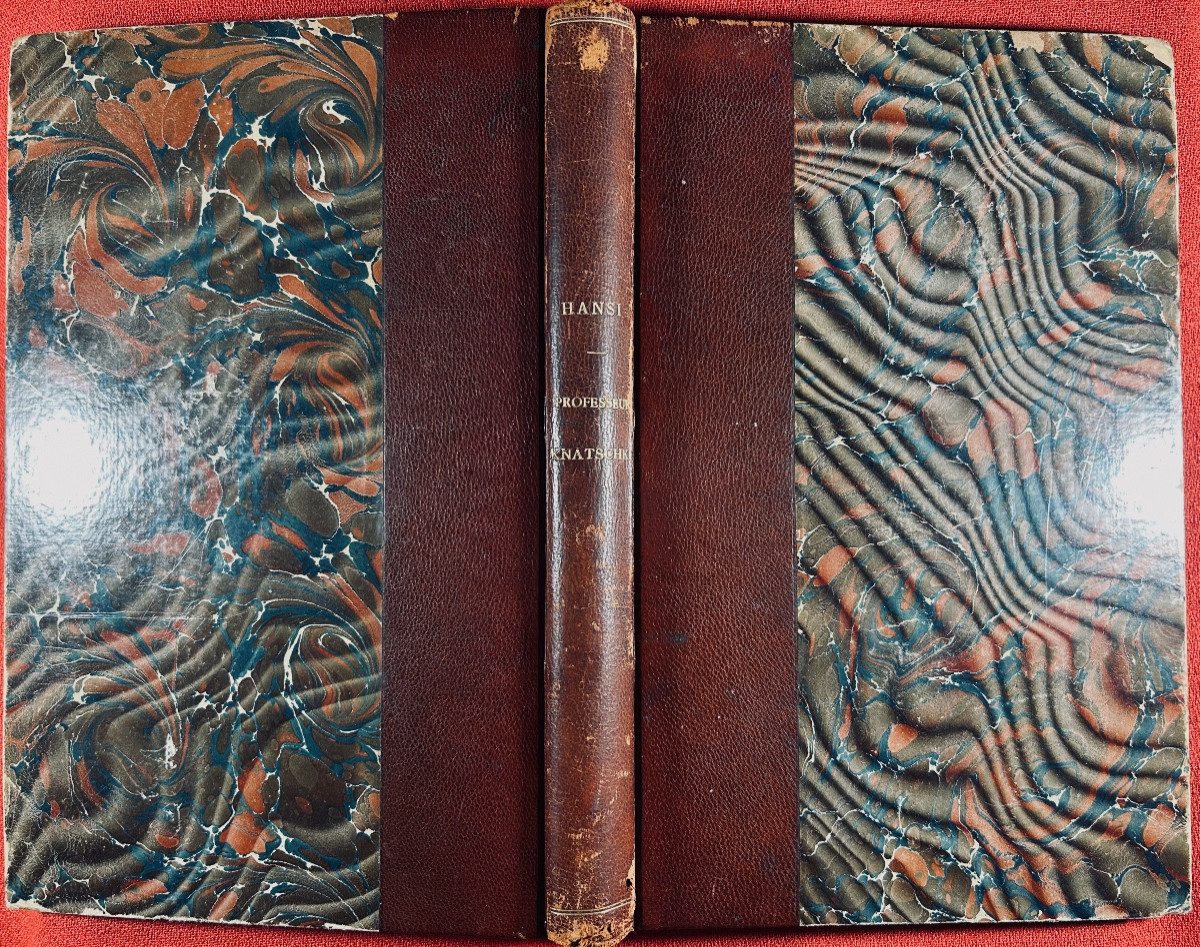 HANSI (Jean-Jacques Waltz "dit") - Professor Knatschke. Floury, vers 1910. Envoi de l'auteur.-photo-8