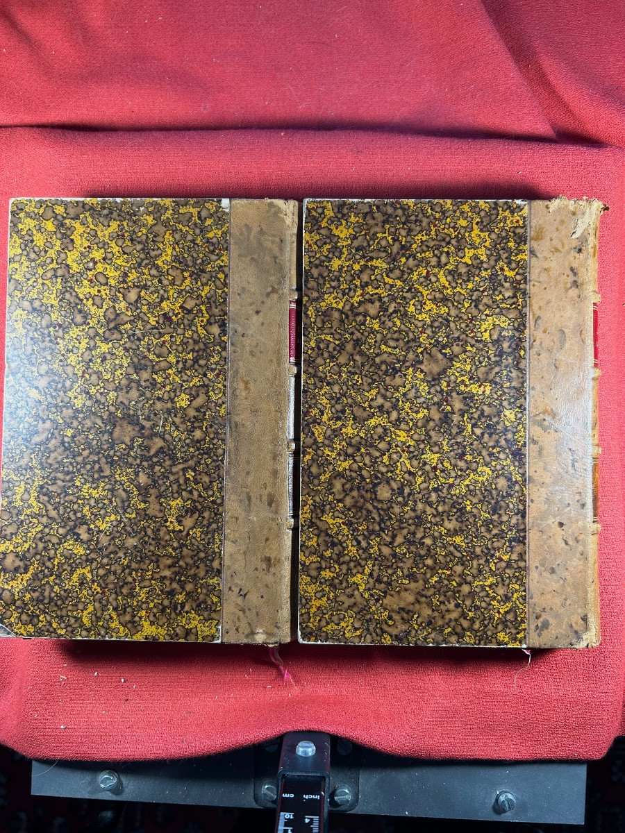 CAMPARDON (Émile) - Le tribunal révolutionnaire de Paris. Plon, 1866. Reliures demi-veau beige.-photo-8