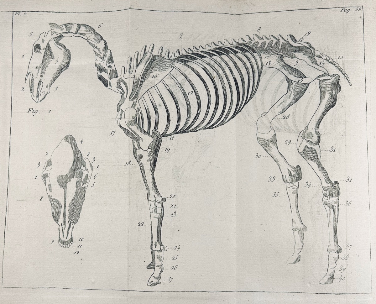 La Fosse (philippe-étienne) - Marshal's Guide. Chambeau Et Cie, 1803, Full Calf Binding.-photo-3