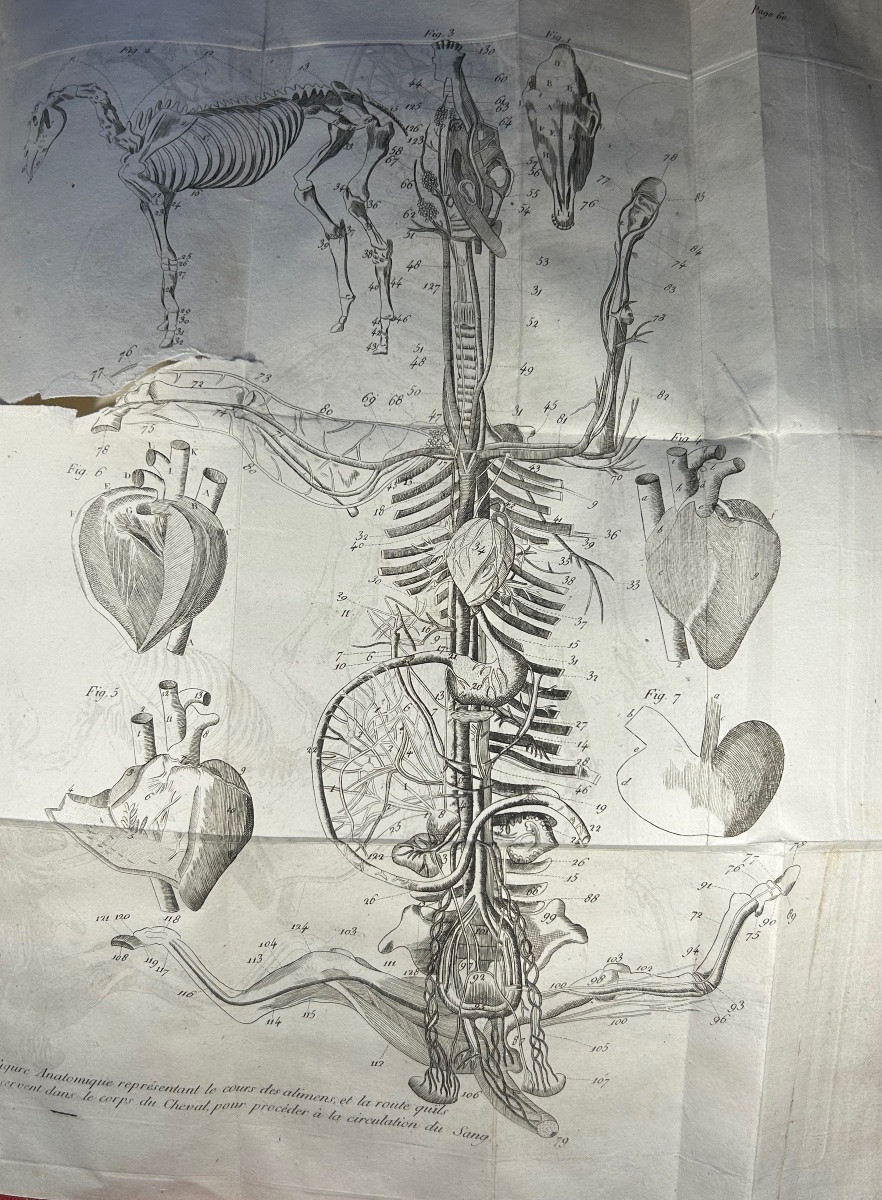 La Fosse (philippe-étienne) - Marshal's Guide. Chambeau Et Cie, 1803, Full Calf Binding.-photo-1