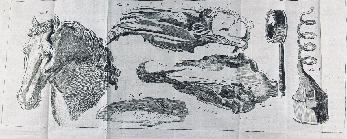 La Fosse (philippe-étienne) - Marshal's Guide. Chambeau Et Cie, 1803, Full Calf Binding.-photo-2