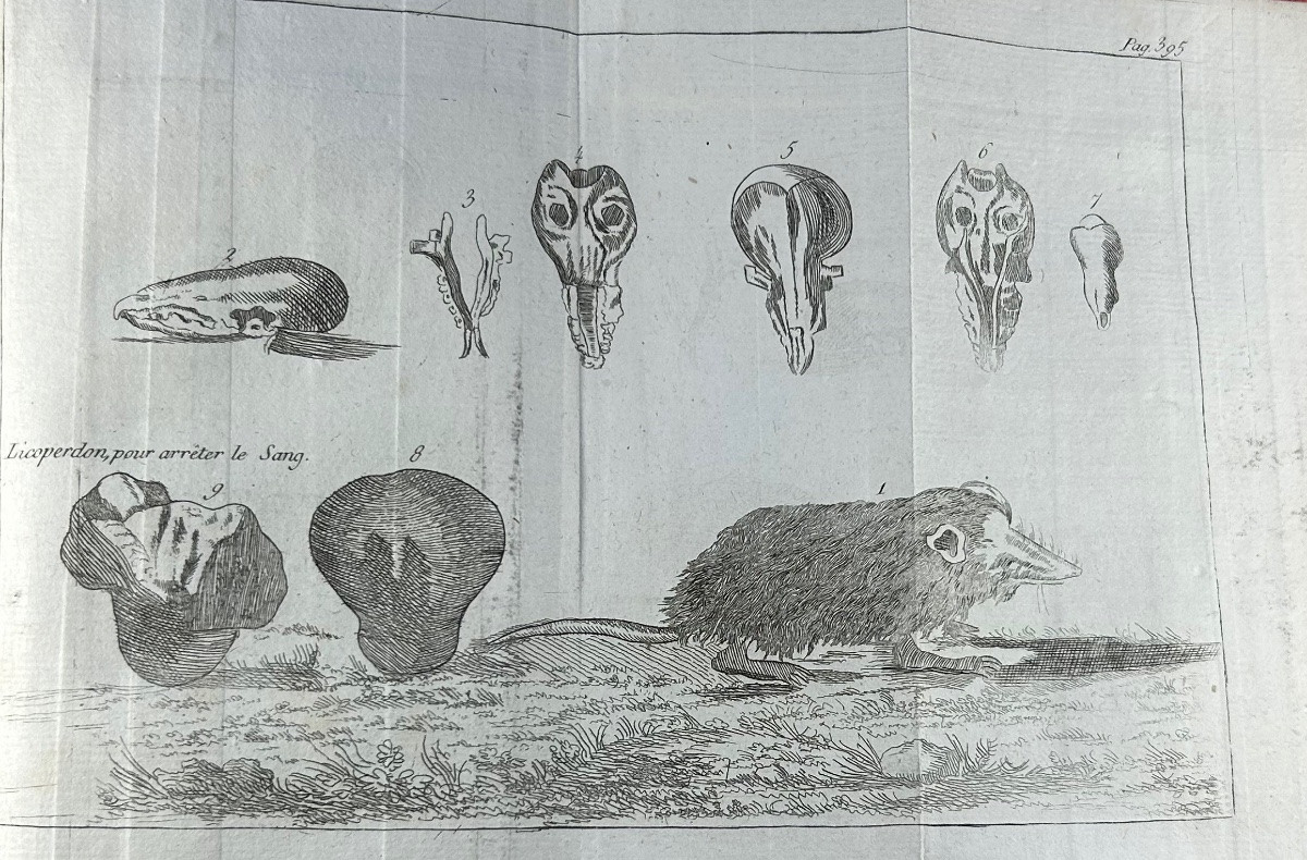 La Fosse (philippe-étienne) - Marshal's Guide. Chambeau Et Cie, 1803, Full Calf Binding.-photo-3