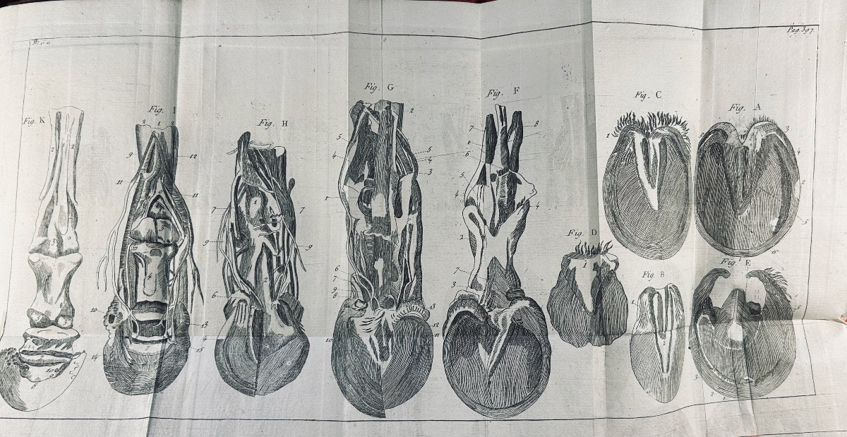 La Fosse (philippe-étienne) - Marshal's Guide. Chambeau Et Cie, 1803, Full Calf Binding.-photo-4