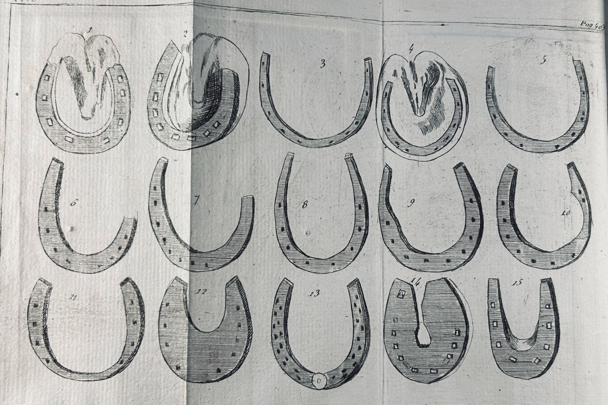 La Fosse (philippe-étienne) - Marshal's Guide. Chambeau Et Cie, 1803, Full Calf Binding.-photo-6