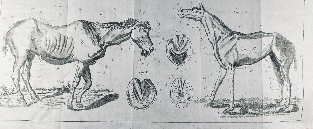 La Fosse (philippe-étienne) - Marshal's Guide. Chambeau Et Cie, 1803, Full Calf Binding.-photo-8