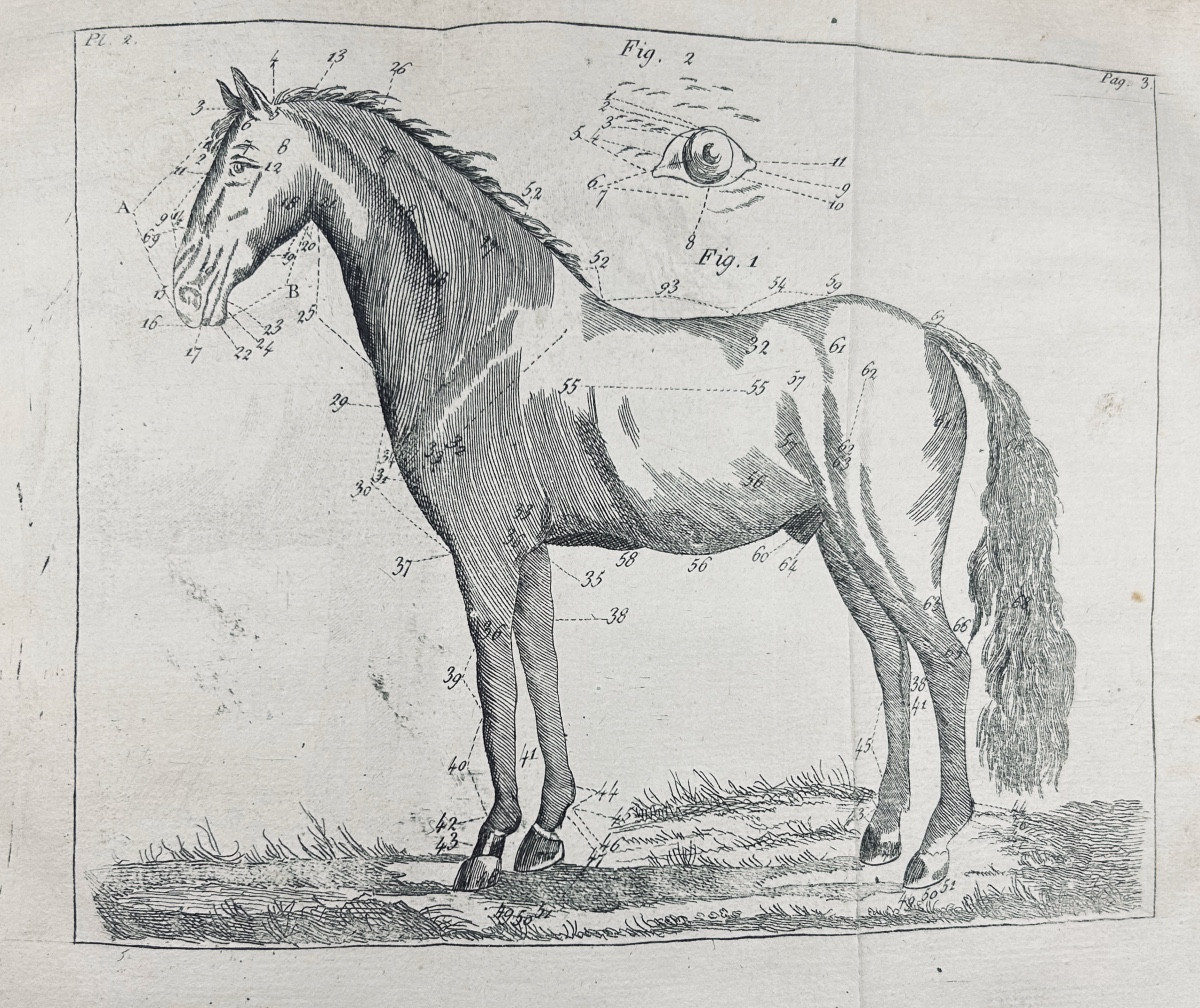 La Fosse (philippe-étienne) - Marshal's Guide. Chambeau Et Cie, 1803, Full Calf Binding.