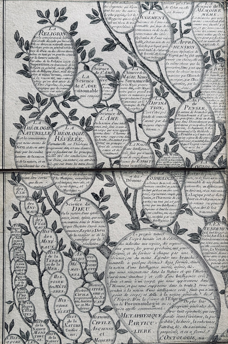 [GÉNÉALOGIE] - ROTH - Essai d'une distribution généalogique des sciences et des arts. 1769.-photo-4