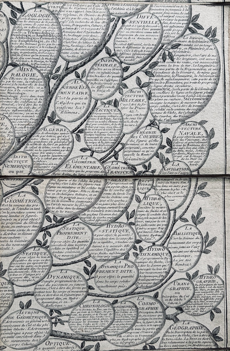 [GÉNÉALOGIE] - ROTH - Essai d'une distribution généalogique des sciences et des arts. 1769.-photo-2