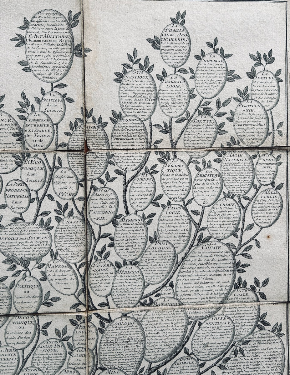 [GÉNÉALOGIE] - ROTH - Essai d'une distribution généalogique des sciences et des arts. 1769.-photo-3