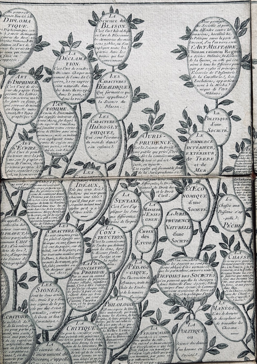 [GÉNÉALOGIE] - ROTH - Essai d'une distribution généalogique des sciences et des arts. 1769.-photo-4