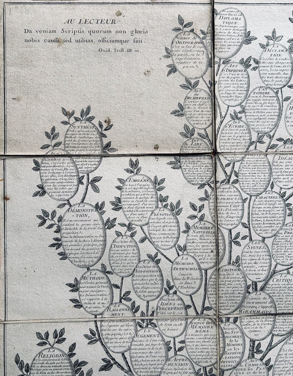 [GÉNÉALOGIE] - ROTH - Essai d'une distribution généalogique des sciences et des arts. 1769.-photo-5