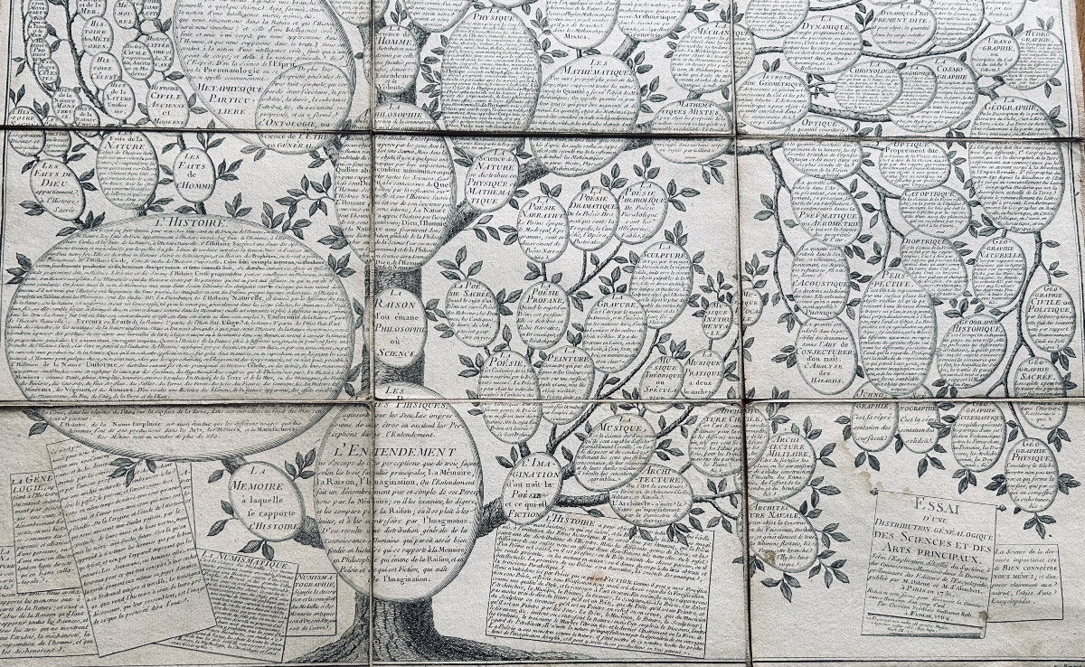 [GÉNÉALOGIE] - ROTH - Essai d'une distribution généalogique des sciences et des arts. 1769.-photo-6