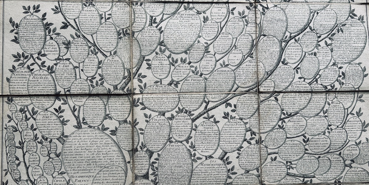 [GÉNÉALOGIE] - ROTH - Essai d'une distribution généalogique des sciences et des arts. 1769.-photo-7