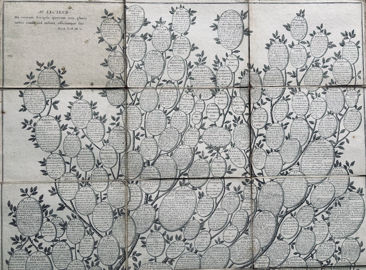 [GÉNÉALOGIE] - ROTH - Essai d'une distribution généalogique des sciences et des arts. 1769.-photo-8