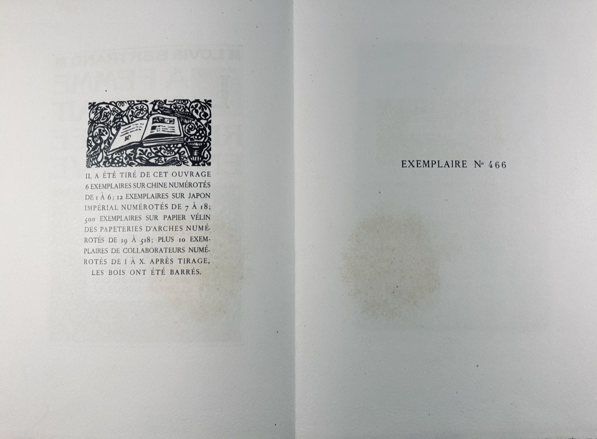 BERTRAND - La femme qui était retournée en Afrique. Le Livre, 1920, Illustré par SERVEAU.-photo-8