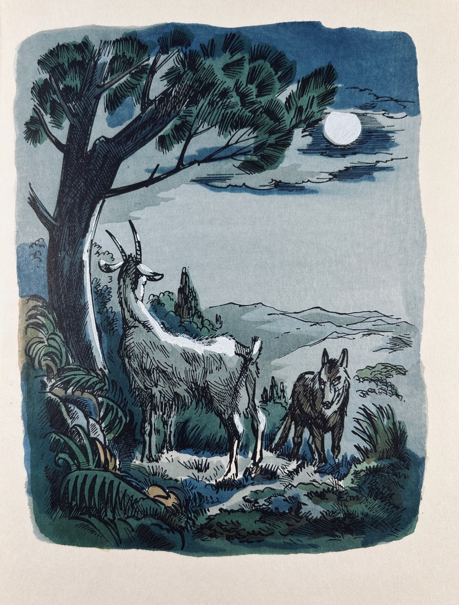 DAUDET (Alphonse) - Lettres de mon moulin. Terre Latines, vers 1960, illustré par COLLOT.-photo-1