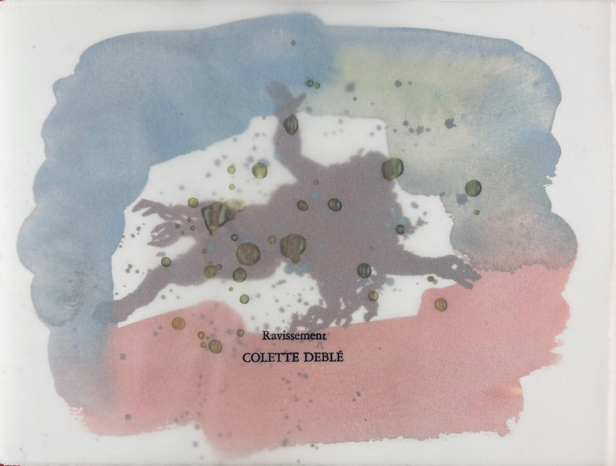 DEBLÉ & SARTORIUS - Visible lisible. Ravissement. La première nuit. D'encrages & Co, 2007.-photo-2