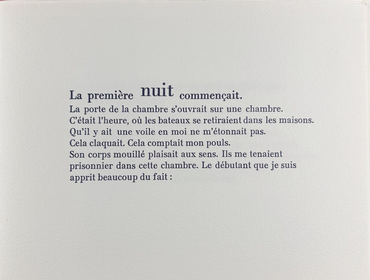 DEBLÉ & SARTORIUS - Visible lisible. Ravissement. La première nuit. D'encrages & Co, 2007.-photo-3
