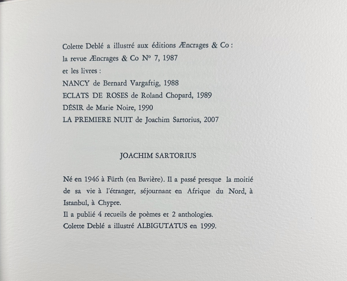 DEBLÉ & SARTORIUS - Visible lisible. Ravissement. La première nuit. D'encrages & Co, 2007.-photo-7
