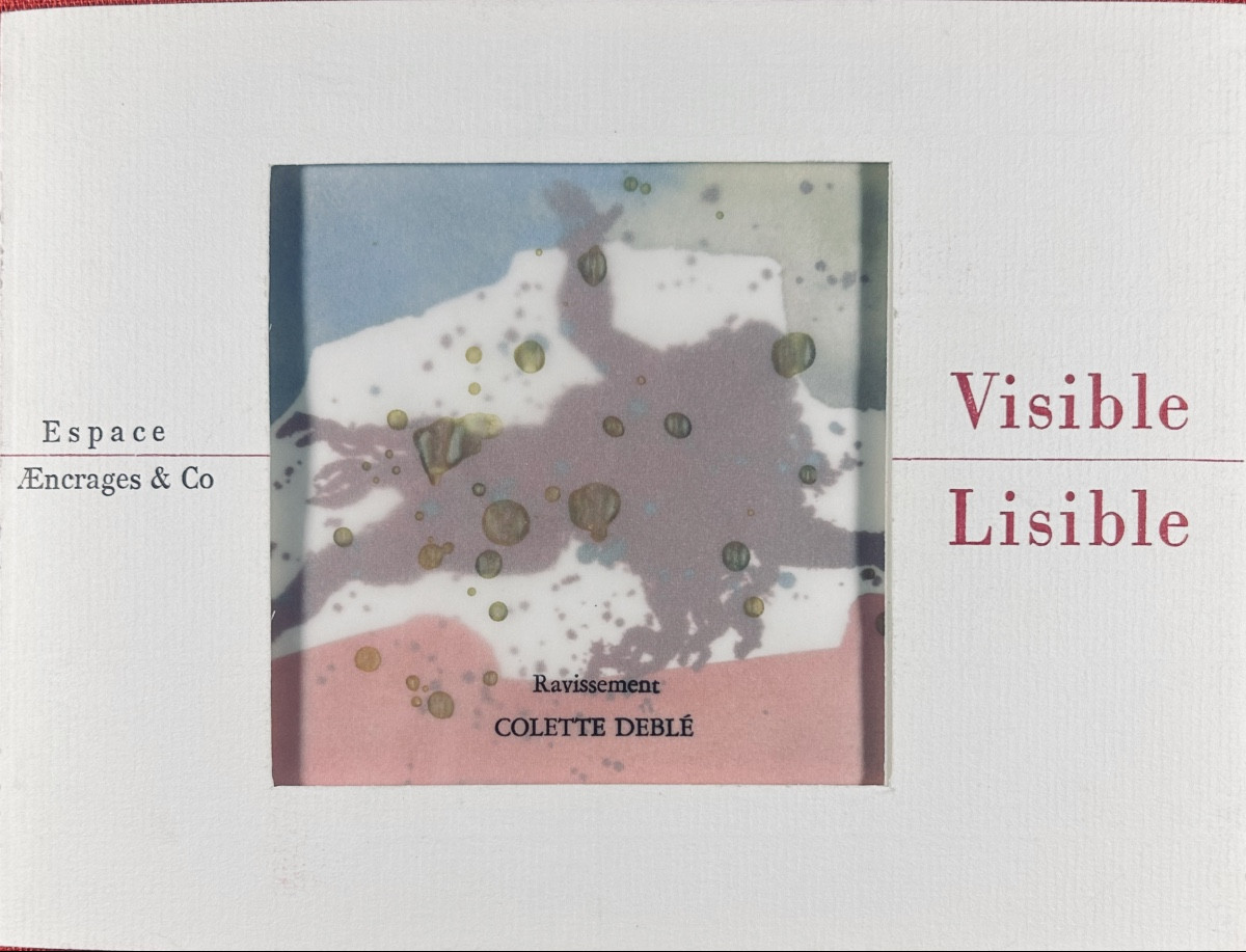 DEBLÉ & SARTORIUS - Visible lisible. Ravissement. La première nuit. D'encrages & Co, 2007.