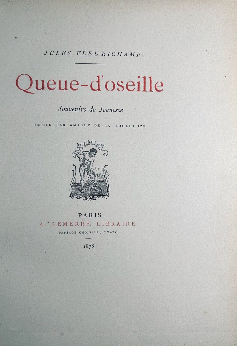 FLEURICHAMP - Queue-d'oseille. Souvenirs de jeunesse. Lemerre, 1878, illustration de FOULHOUSE.-photo-4