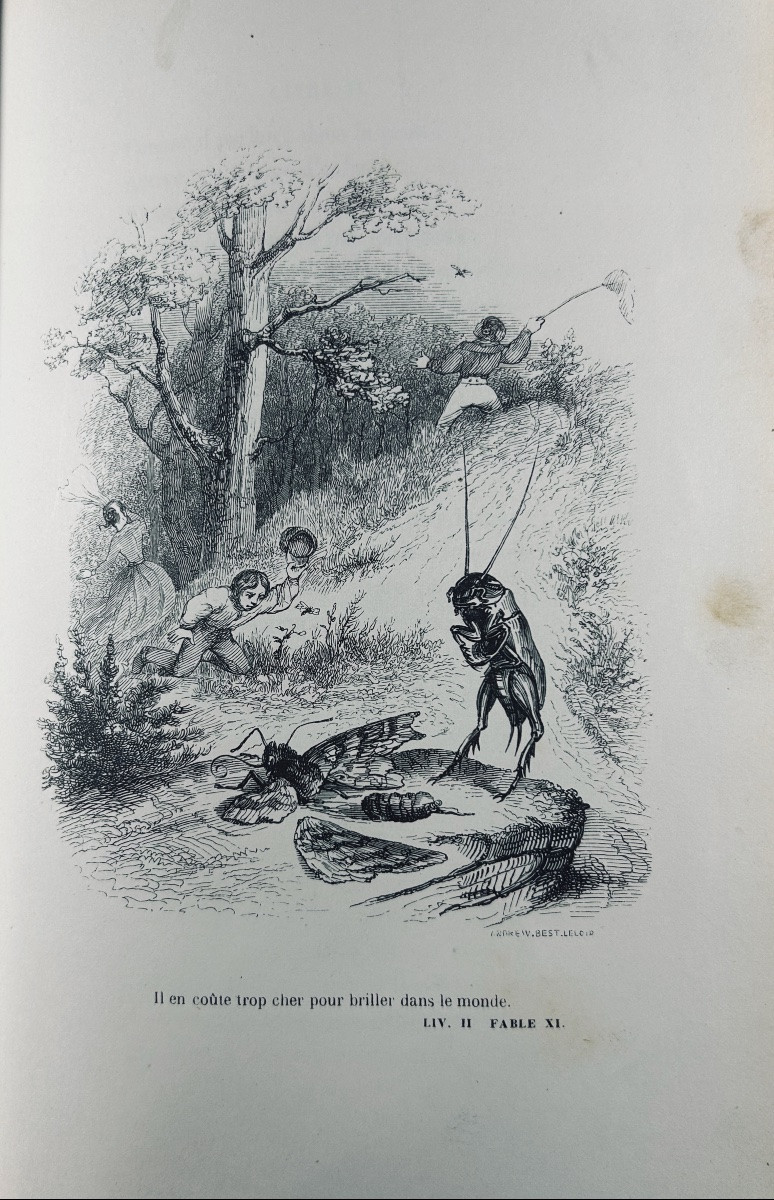 Florian - Florian's Fables. Followed By Tobie And Ruth. Dubochet, 1843, Illustrated By Grandville-photo-7