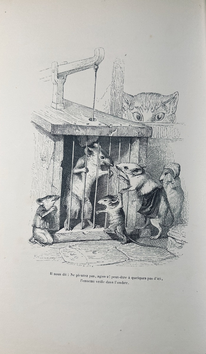 [grandville] - Stahl - Scenes From The Private And Public Lives Of Animals. Hetzel, 1842.-photo-4