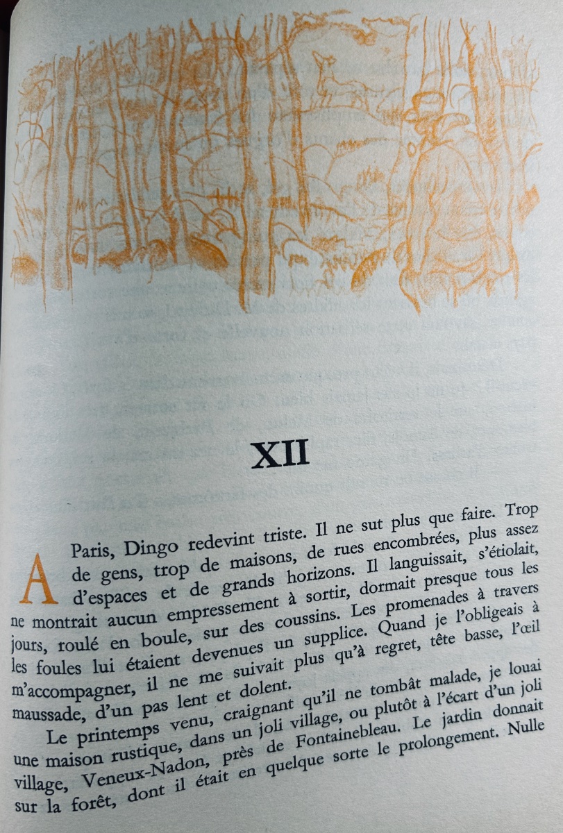 [BOFA]  MIRBEAU (Octave) - Dingo. Éditions Nationales, 1935, illustrations de Gus Bofa.-photo-7