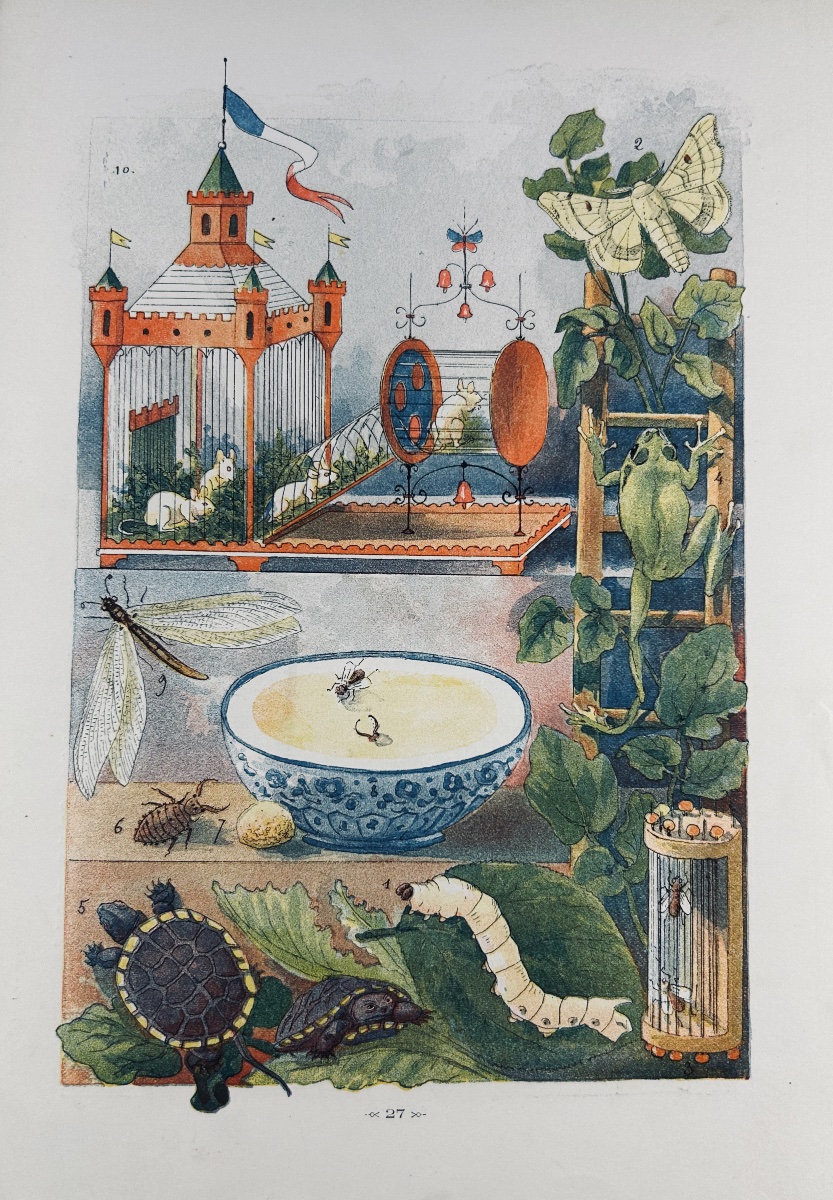 TISSANDIER (Gaston) - Jeux et jouets du jeune âge. Masson, 1880, cartonnage d'éditeur.-photo-1