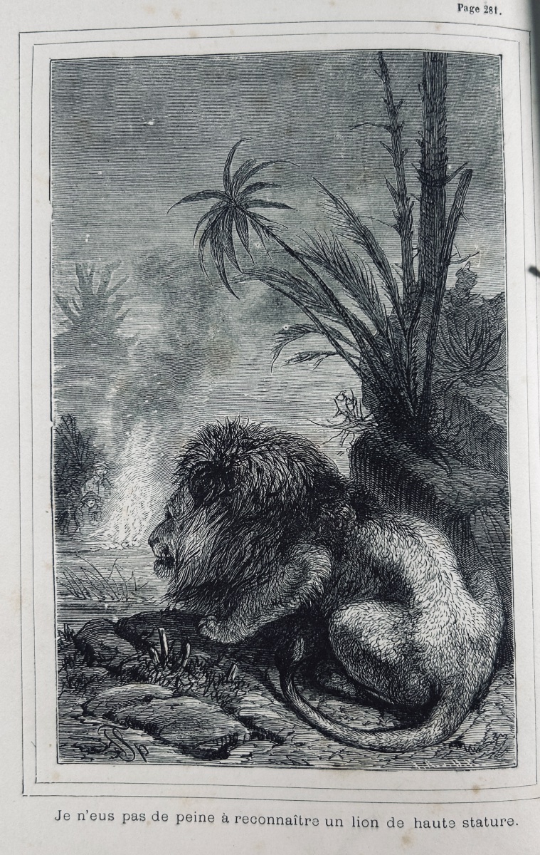 WYSS (J.-R.) - Le Robinson suisse. Journal d'un père de famille naufragé. Lefèvre, vers 1880.-photo-2
