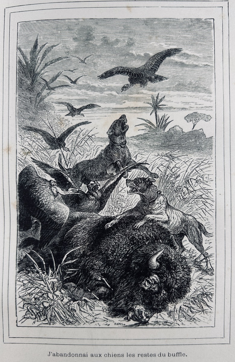 WYSS (J.-R.) - Le Robinson suisse. Journal d'un père de famille naufragé. Lefèvre, vers 1880.-photo-5
