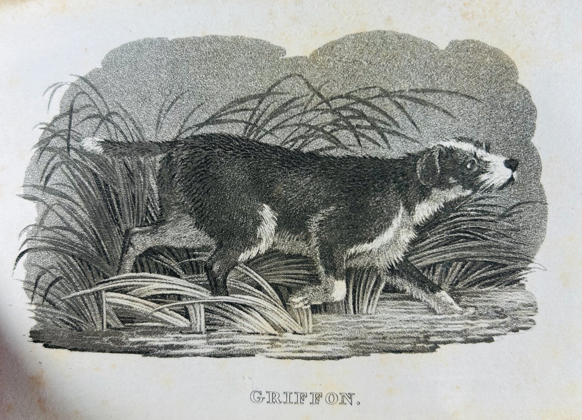 Anonymous - A Comprehensive Treatise On Hunting With A Rifle. Audot, 1823, Modern Binding, 8 Black-and-white Plates-photo-2