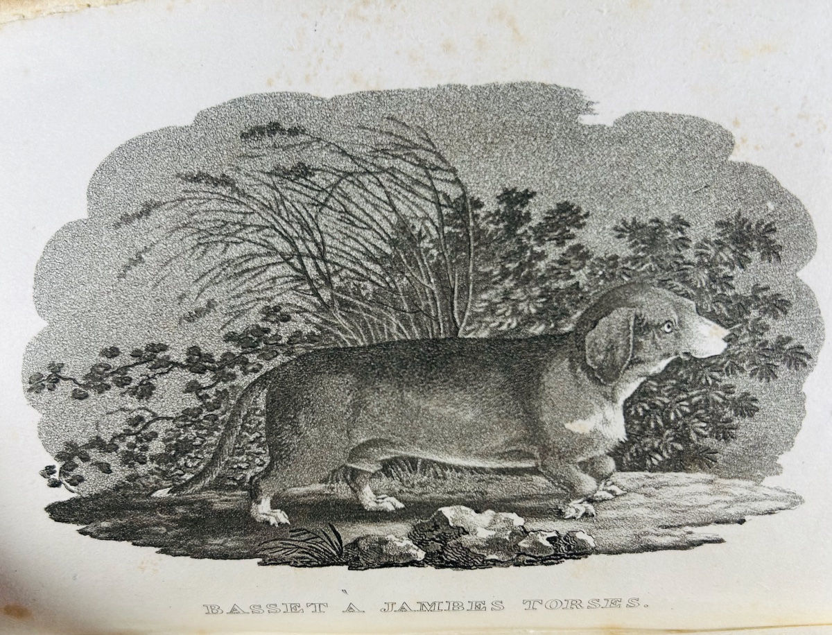Anonymous - A Comprehensive Treatise On Hunting With A Rifle. Audot, 1823, Modern Binding, 8 Black-and-white Plates-photo-5