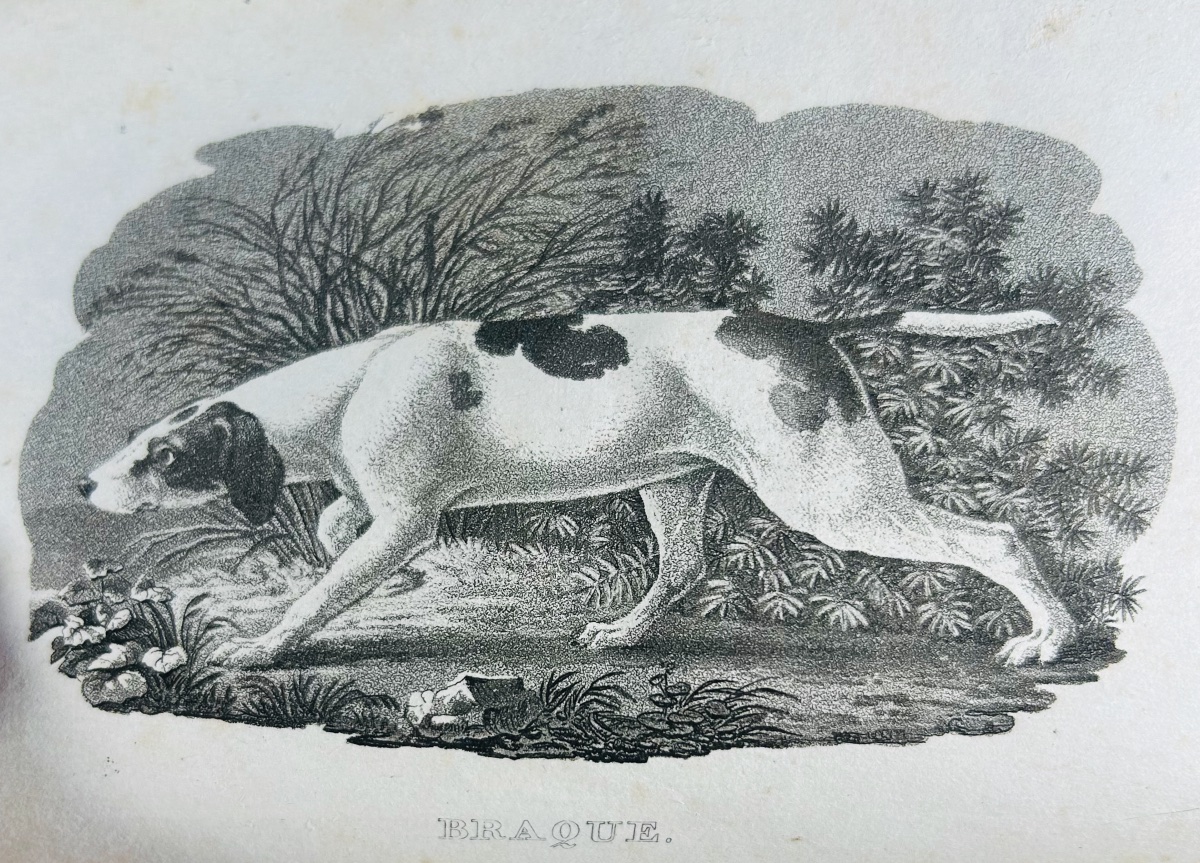 Anonymous - A Comprehensive Treatise On Hunting With A Rifle. Audot, 1823, Modern Binding, 8 Black-and-white Plates