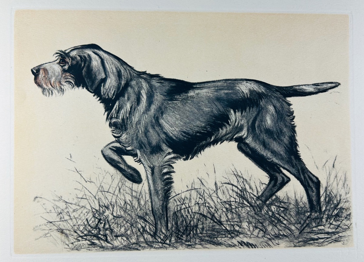Benoist And Massonnet - Our Dogs Of The Future. Arc-en-ciel Publishing, 1944, Illustrated By Collot.-photo-3