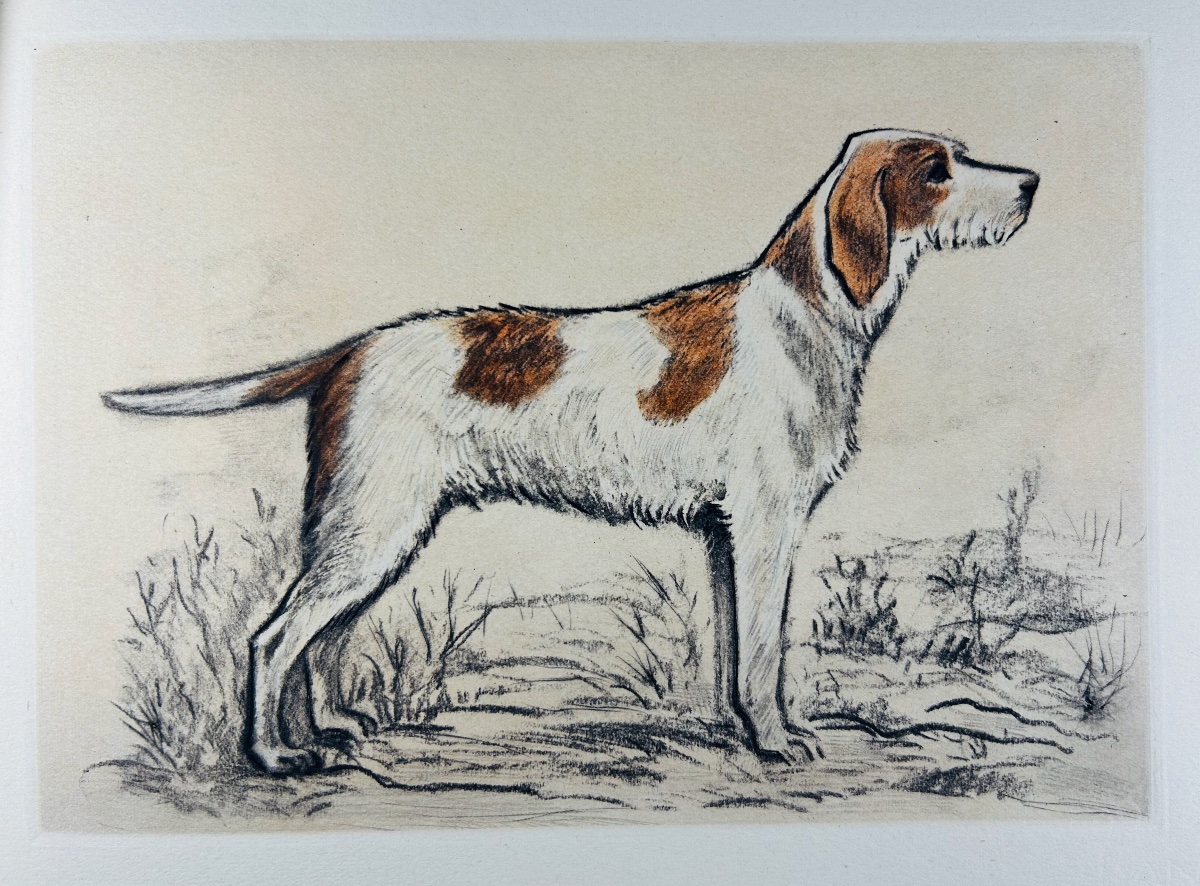 Benoist And Massonnet - Our Dogs Of The Future. Arc-en-ciel Publishing, 1944, Illustrated By Collot.-photo-4