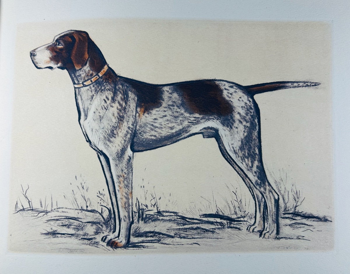 Benoist And Massonnet - Our Dogs Of The Future. Arc-en-ciel Publishing, 1944, Illustrated By Collot.-photo-1