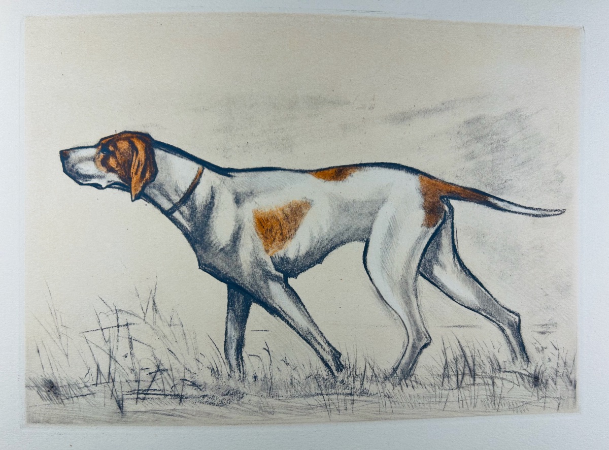 Benoist And Massonnet - Our Dogs Of The Future. Arc-en-ciel Publishing, 1944, Illustrated By Collot.-photo-3