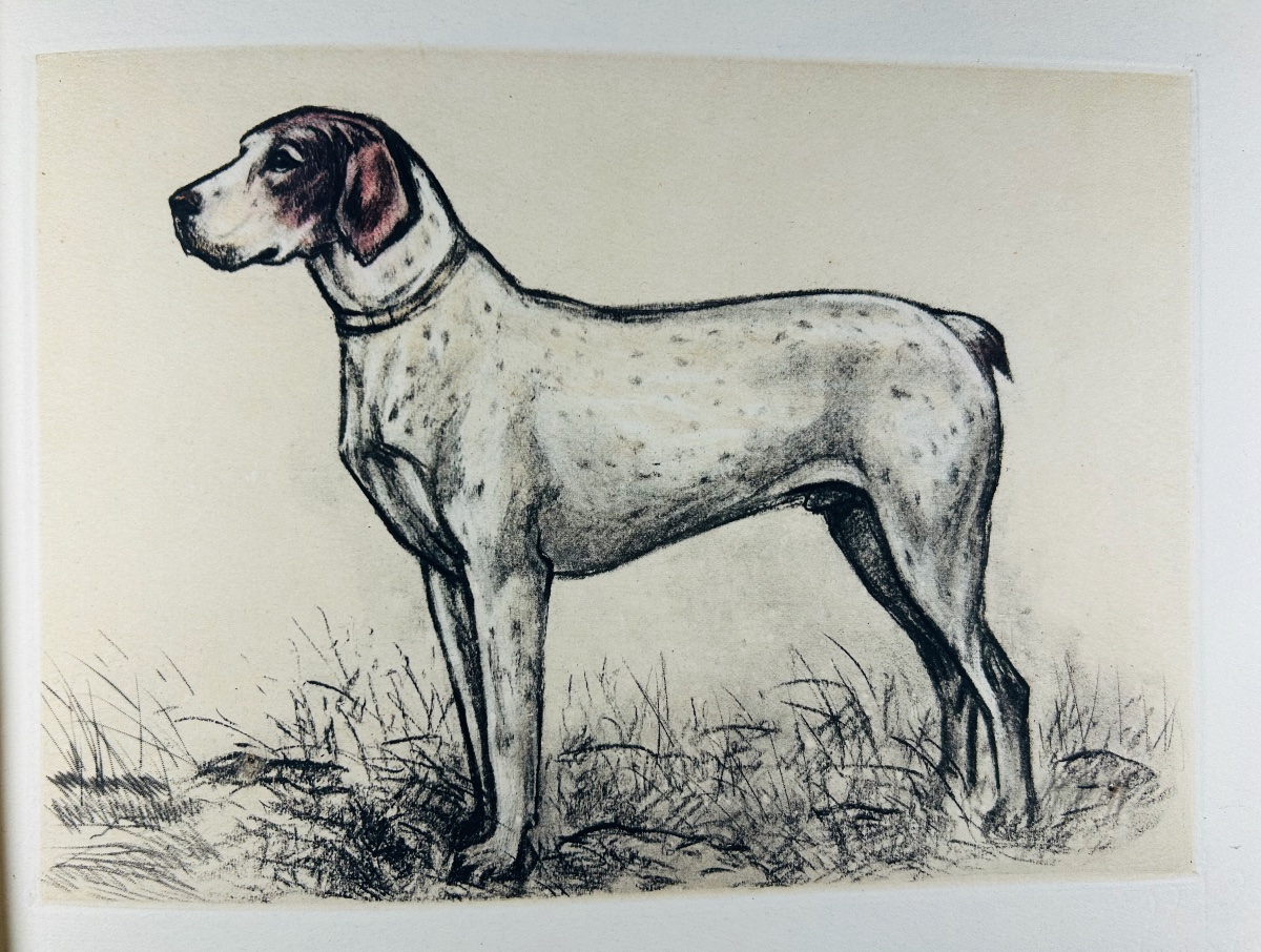 Benoist And Massonnet - Our Dogs Of The Future. Arc-en-ciel Publishing, 1944, Illustrated By Collot.-photo-5