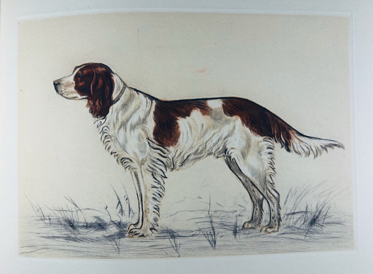 Benoist And Massonnet - Our Dogs Of The Future. Arc-en-ciel Publishing, 1944, Illustrated By Collot.-photo-6