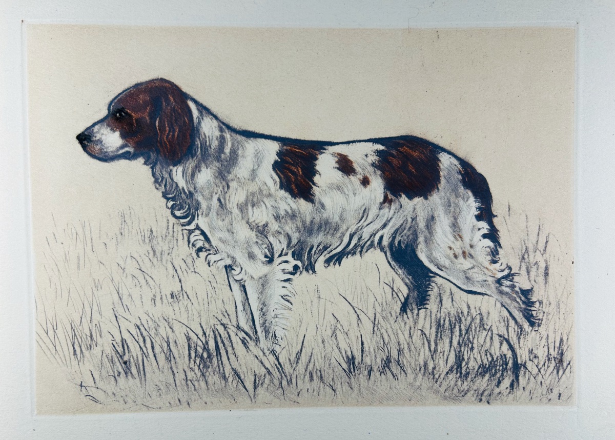 Benoist And Massonnet - Our Dogs Of The Future. Arc-en-ciel Publishing, 1944, Illustrated By Collot.-photo-7