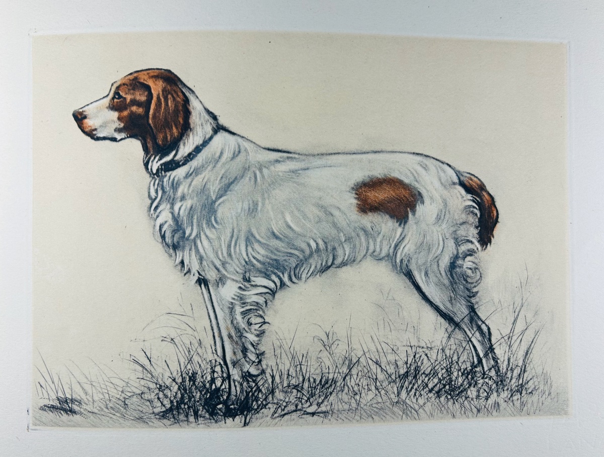 Benoist And Massonnet - Our Dogs Of The Future. Arc-en-ciel Publishing, 1944, Illustrated By Collot.-photo-8